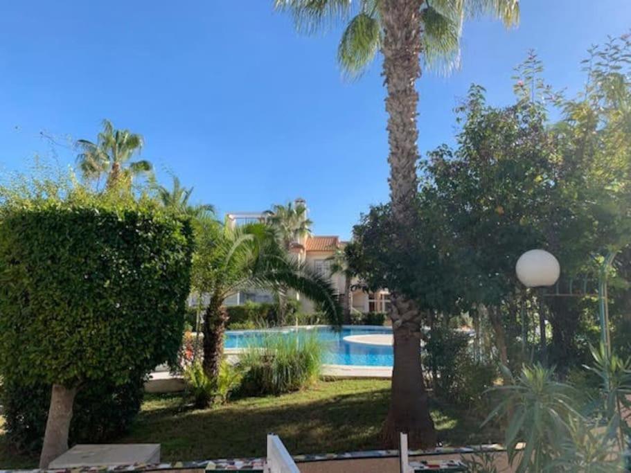 Schoenes Ferienbungalow In Los Altos Torrevieja Exteriör bild